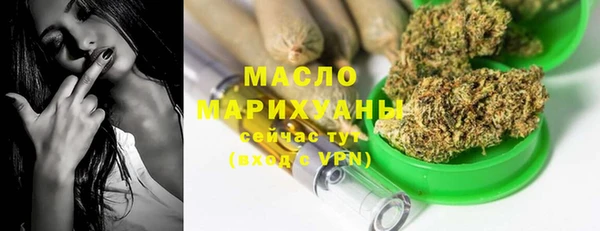 гашик Надым