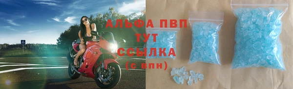 гашик Надым