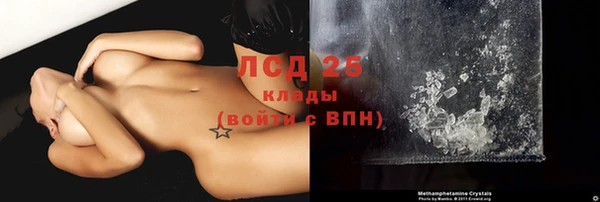 гашик Надым