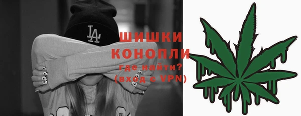 гашик Надым