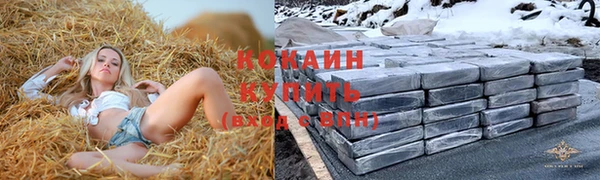 гашик Надым