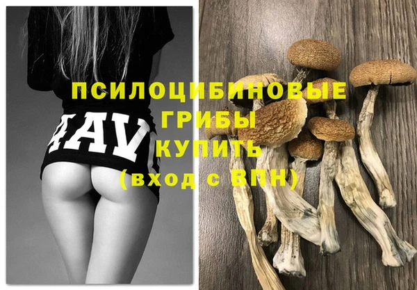 гашик Надым