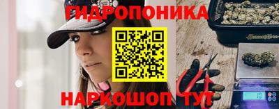 индика Краснознаменск