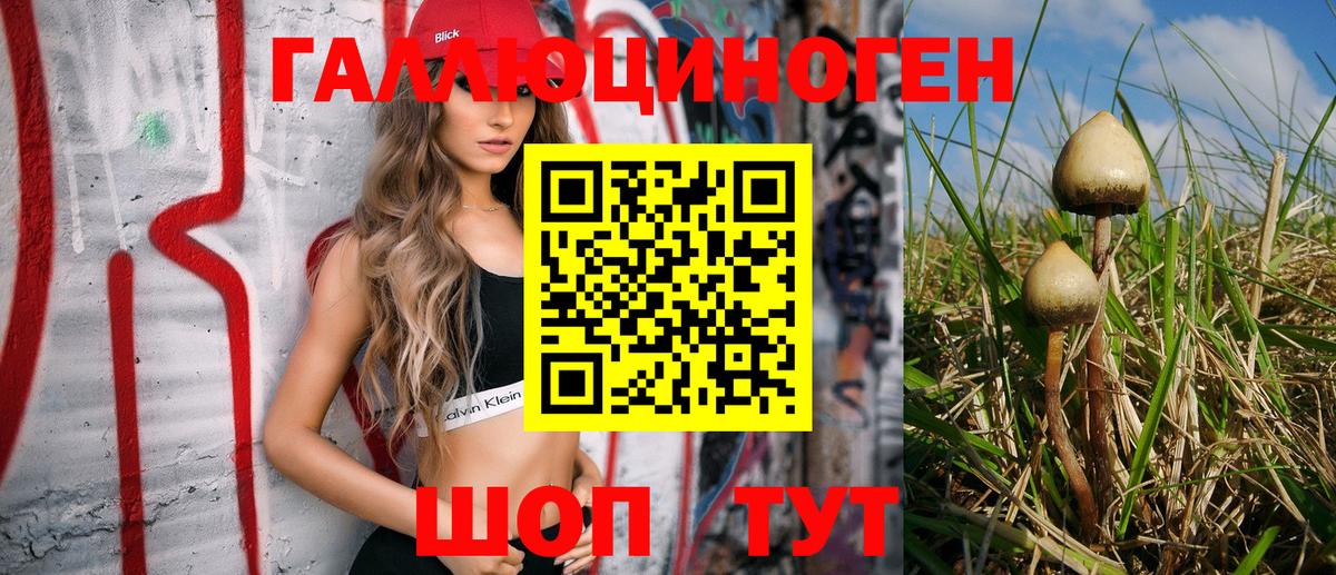 Екатеринбург  Псилоцибиновые грибы Magic Shrooms  Вход с VPN  Галлюциногенные грибы Psilocybine cubensis 