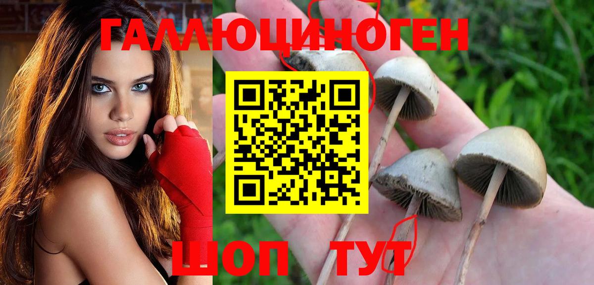 Галлюциногенные грибы мухоморы Екатеринбург